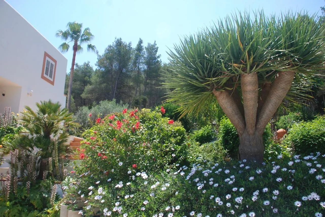 Villa Can Pinato Cala Llonga