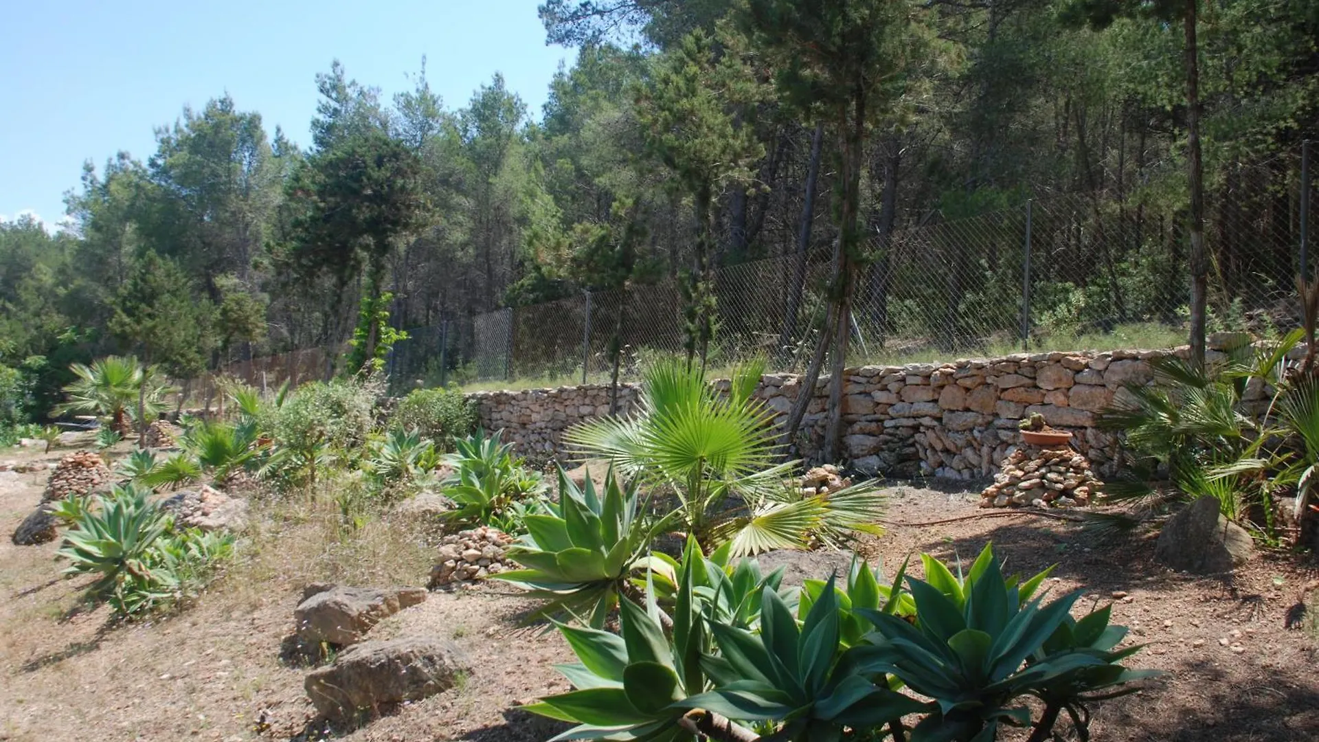 Can Pinato Cala Llonga  Spanje